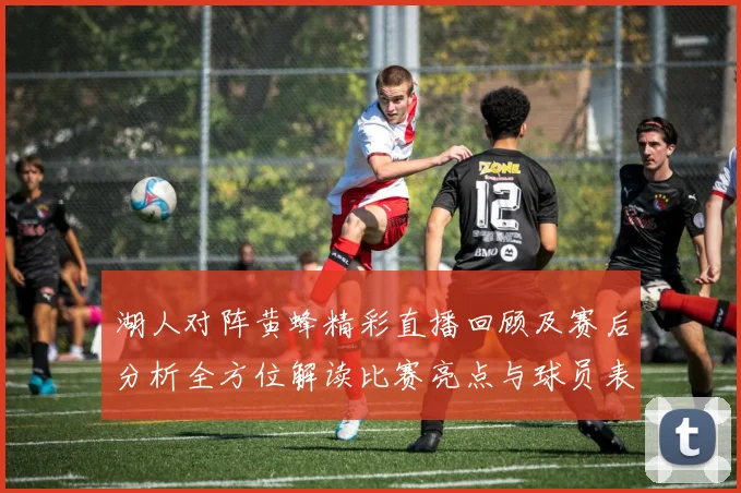 湖人对阵黄蜂精彩直播回顾及赛后分析全方位解读比赛亮点与球员表现