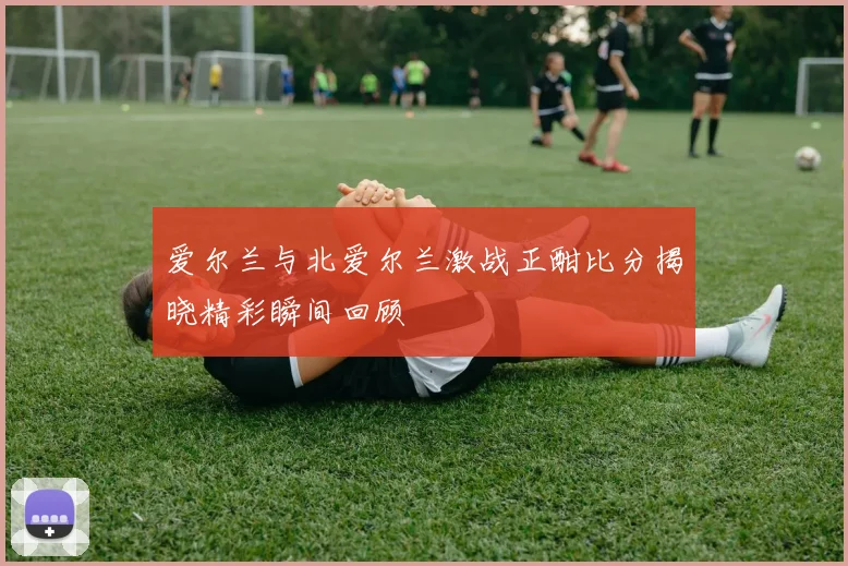 爱尔兰与北爱尔兰激战正酣比分揭晓精彩瞬间回顾
