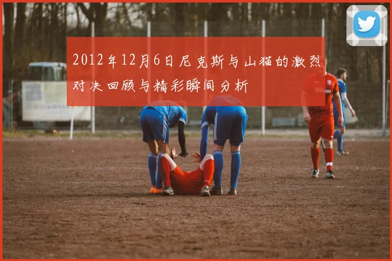 2012年12月6日尼克斯与山猫的激烈对决回顾与精彩瞬间分析
